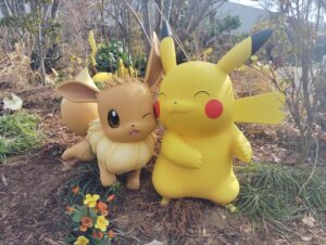 よみうりランドのポケパークカントーのポケモンフォレストのイーブイとピカチュウ