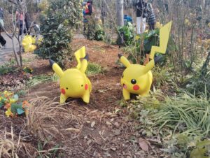 よみうりランドのポケパークカントーのポケモンフォレストのメタモンとピカチュウ