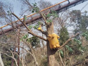 よみうりランドのポケパークカントーのポケモンフォレストのビッパとバチュル