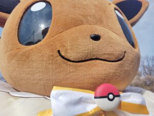 よみうりランドのポケパークカントーのカヤツリタウンのピカブイバブルカーニバルのイーブイ